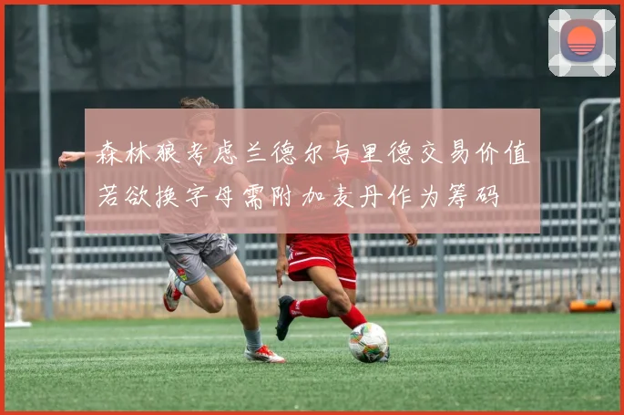 森林狼考虑兰德尔与里德交易价值若欲换字母需附加麦丹作为筹码